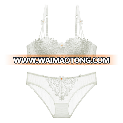 New Style Lace Sexy Bra And Panty Set For Women