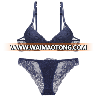 New Design Lace Sexy Bra And Panty Set For Ladies