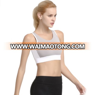 Wholesale Custom Ladies Sport Bra Top Fitness Padded Bra